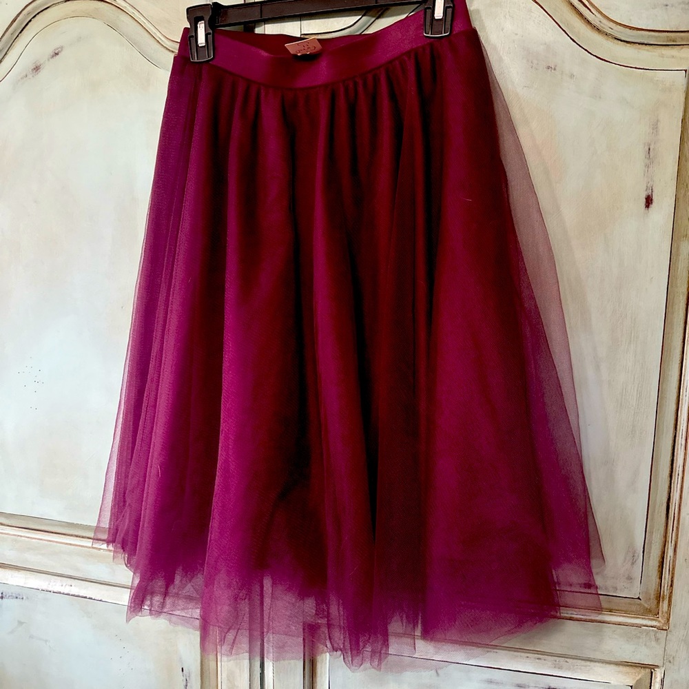 Brand new with tags boutique find, tulle skirt.